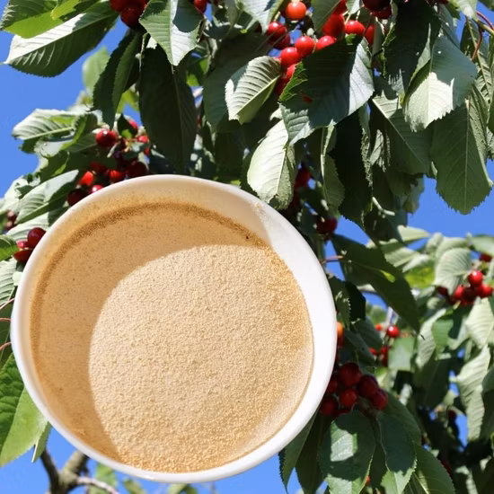 Quelato de aminoácidos Fertilizantes de calcio Quelato de minerales